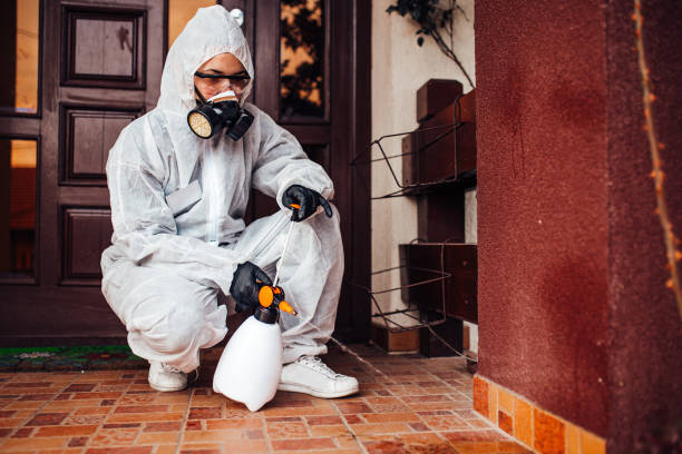 Reliable Cockroach Control contractor in Riverdale Park, CA by Nex Pest Control