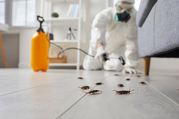 Trusted Rodent Control service in Riverdale Park, CA - Nex Pest Control