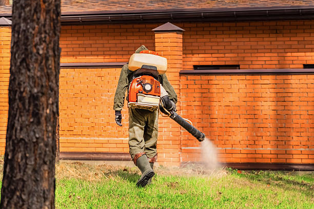 Trusted Mosquito Control service in Riverdale Park, CA - Nex Pest Control